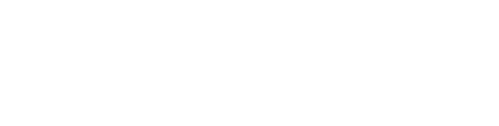 Xera Technology